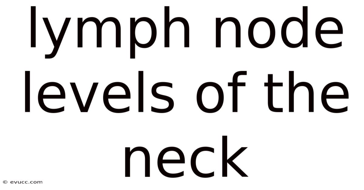 Lymph Node Levels Of The Neck