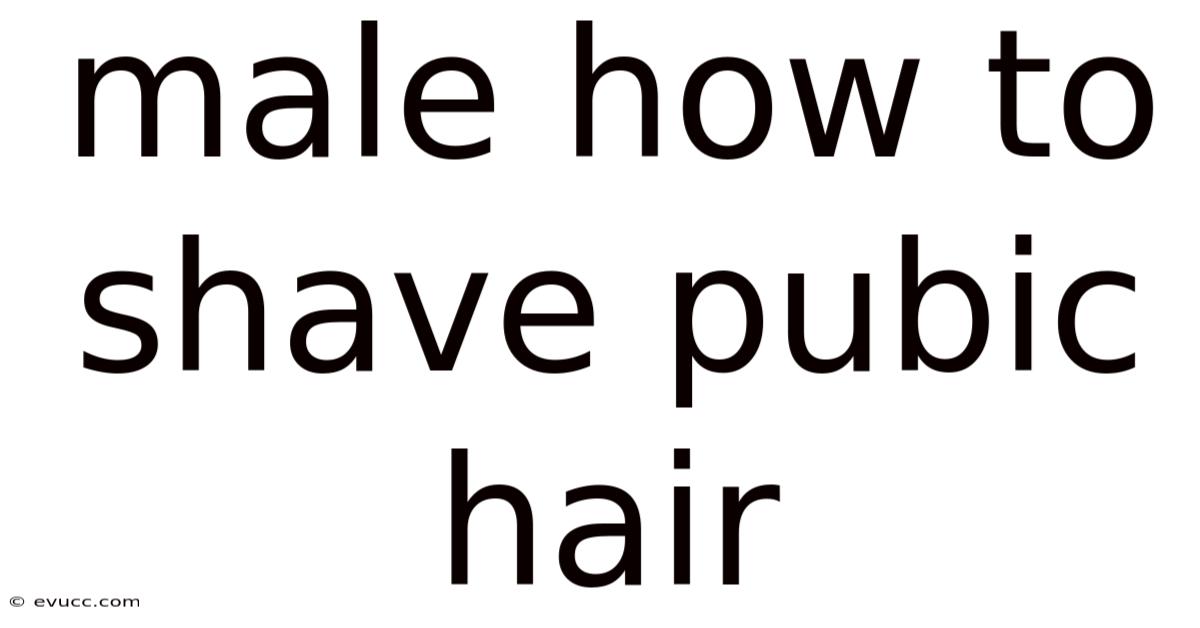Male How To Shave Pubic Hair