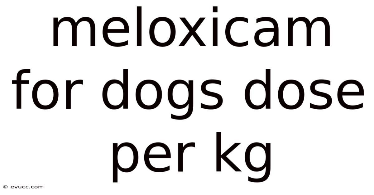 Meloxicam For Dogs Dose Per Kg