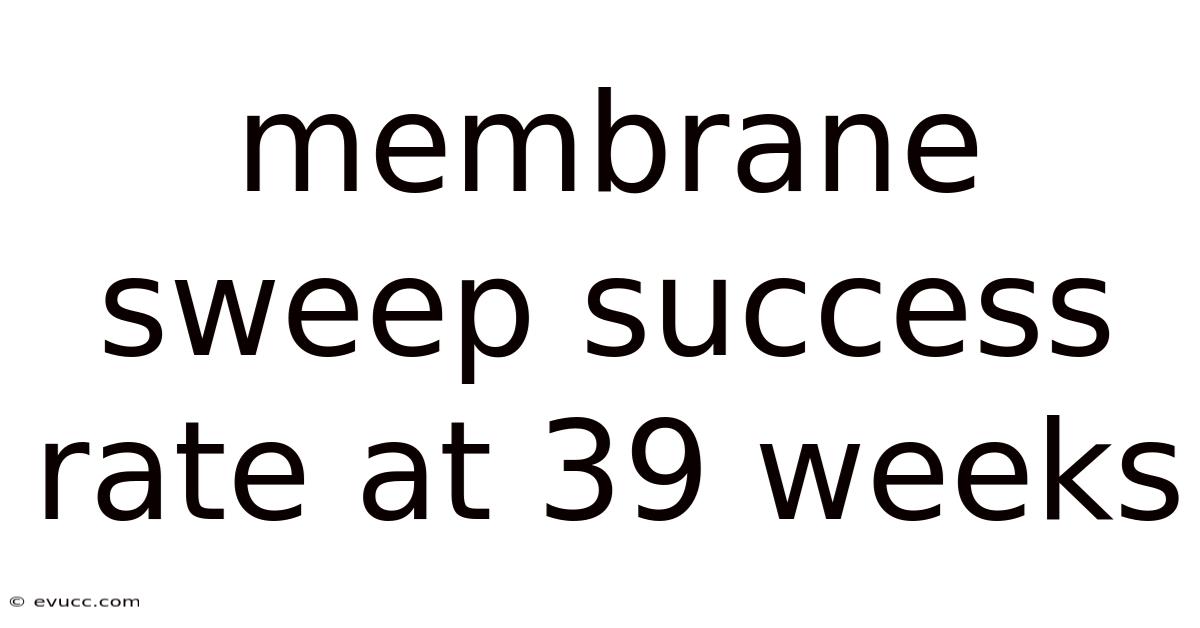 Membrane Sweep Success Rate At 39 Weeks