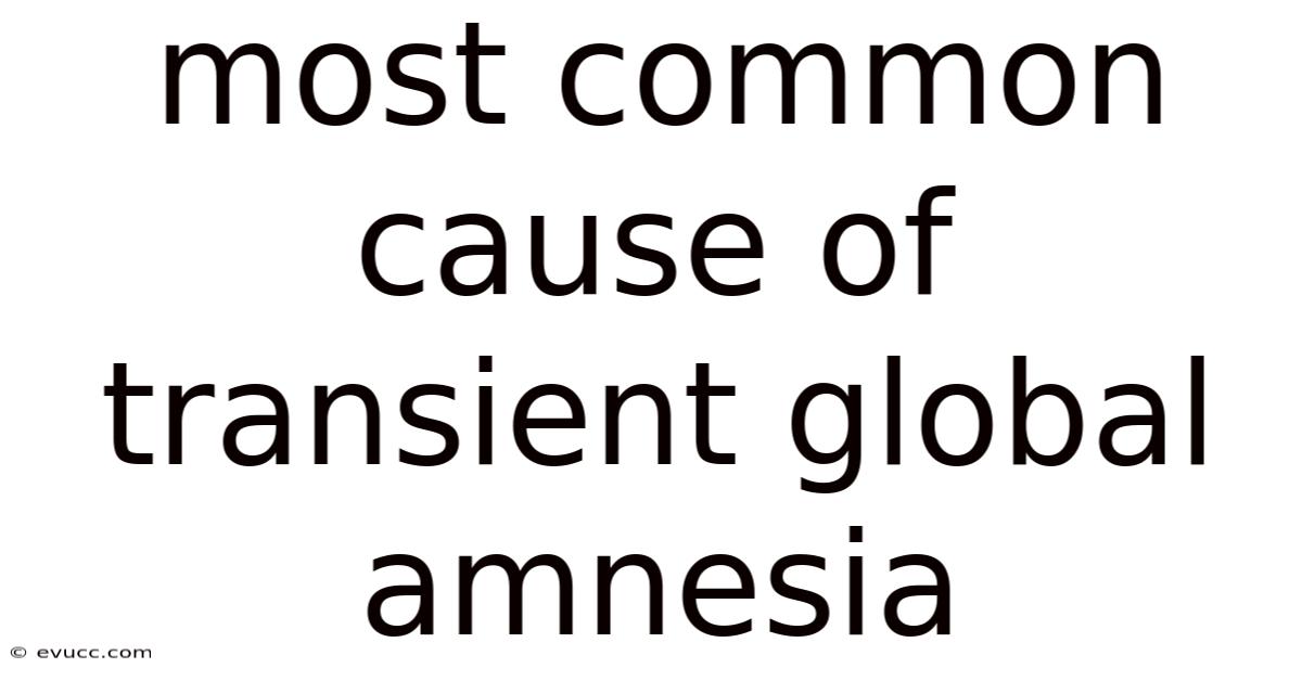 Most Common Cause Of Transient Global Amnesia