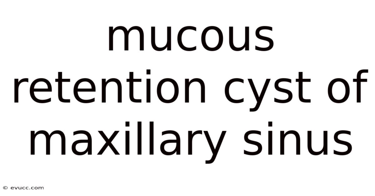 Mucous Retention Cyst Of Maxillary Sinus