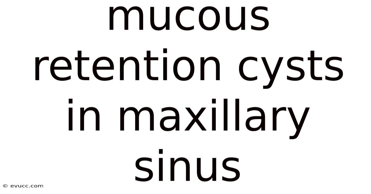 Mucous Retention Cysts In Maxillary Sinus