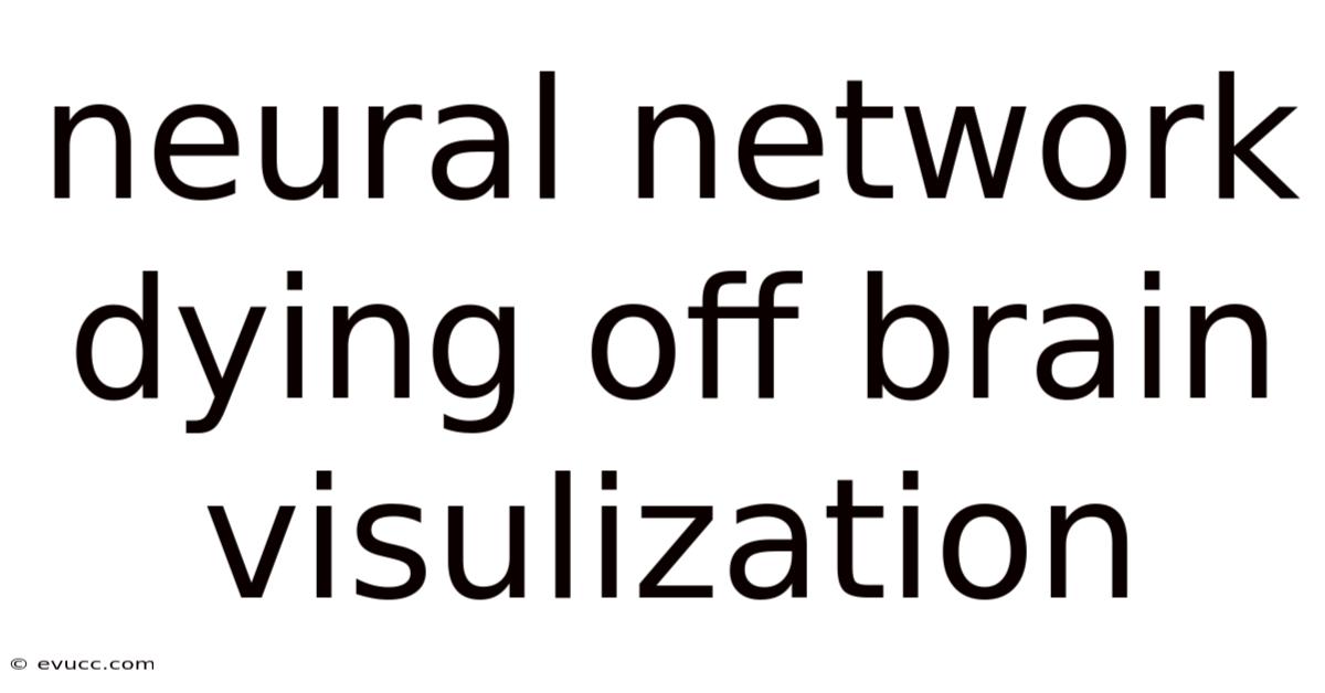 Neural Network Dying Off Brain Visulization