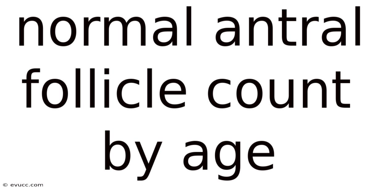 Normal Antral Follicle Count By Age