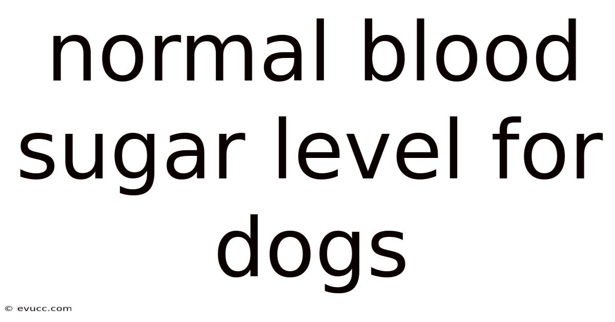 Normal Blood Sugar Level For Dogs