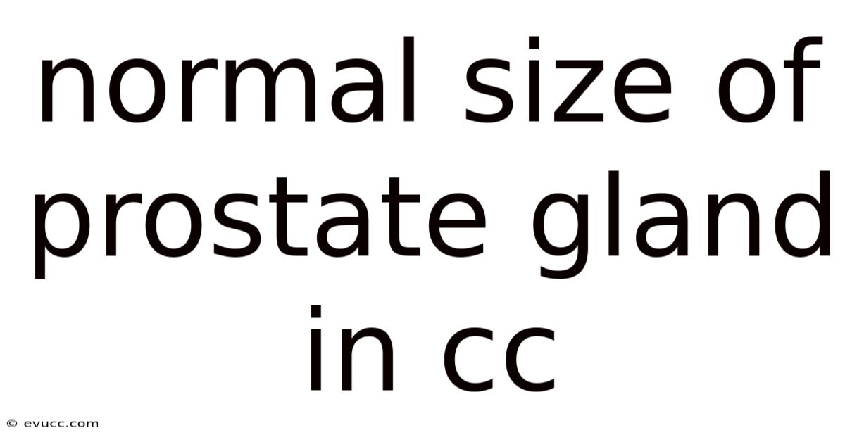 Normal Size Of Prostate Gland In Cc