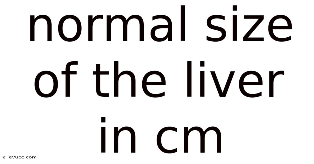 Normal Size Of The Liver In Cm