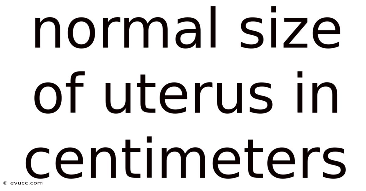 Normal Size Of Uterus In Centimeters
