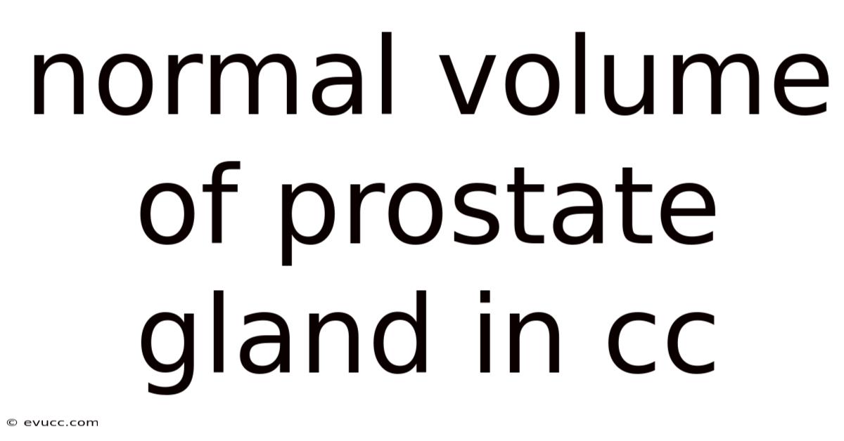 Normal Volume Of Prostate Gland In Cc