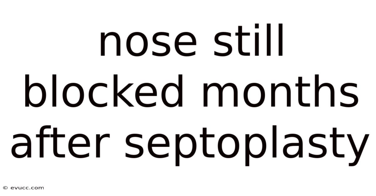 Nose Still Blocked Months After Septoplasty