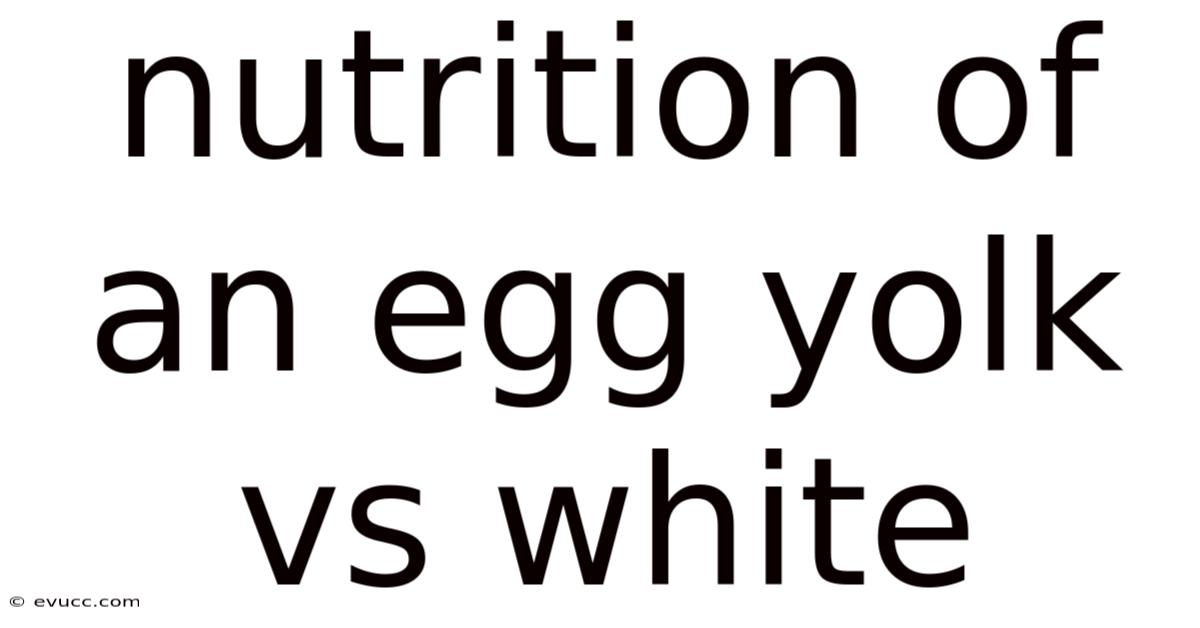 Nutrition Of An Egg Yolk Vs White