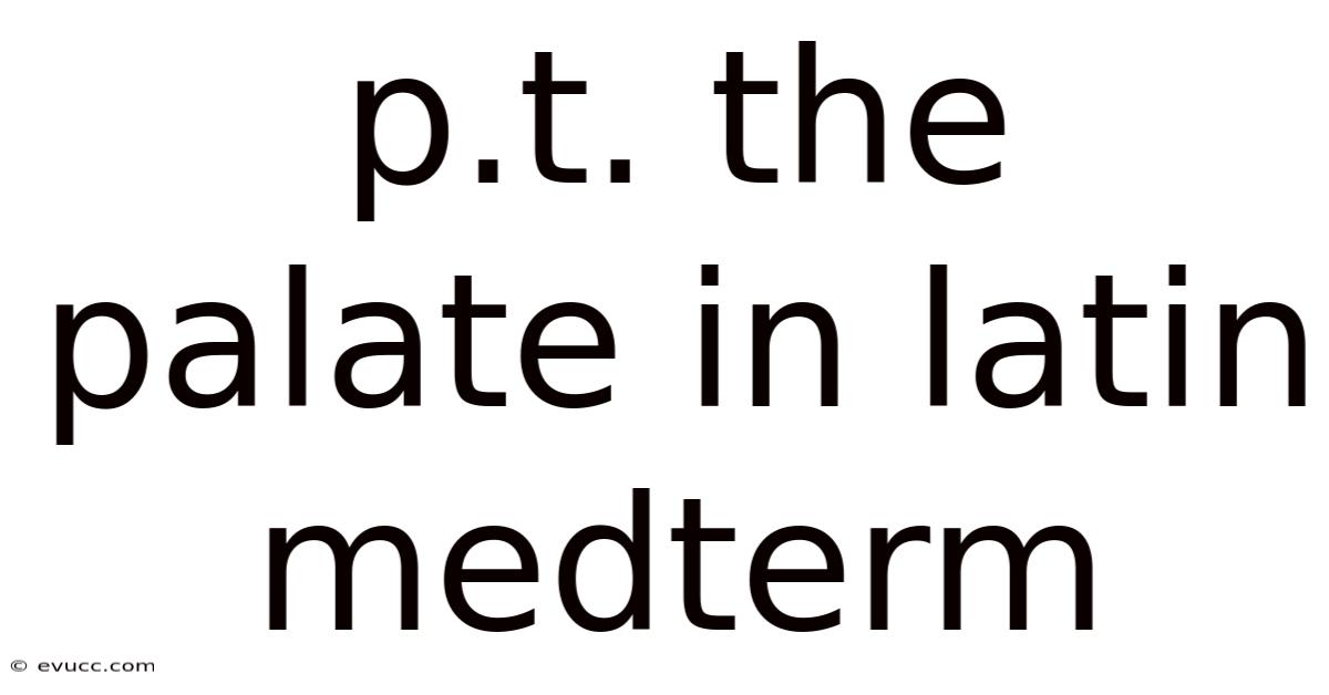 P.t. The Palate In Latin Medterm