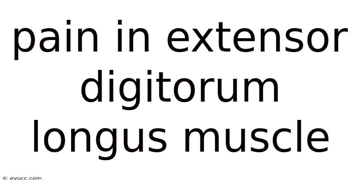 Pain In Extensor Digitorum Longus Muscle