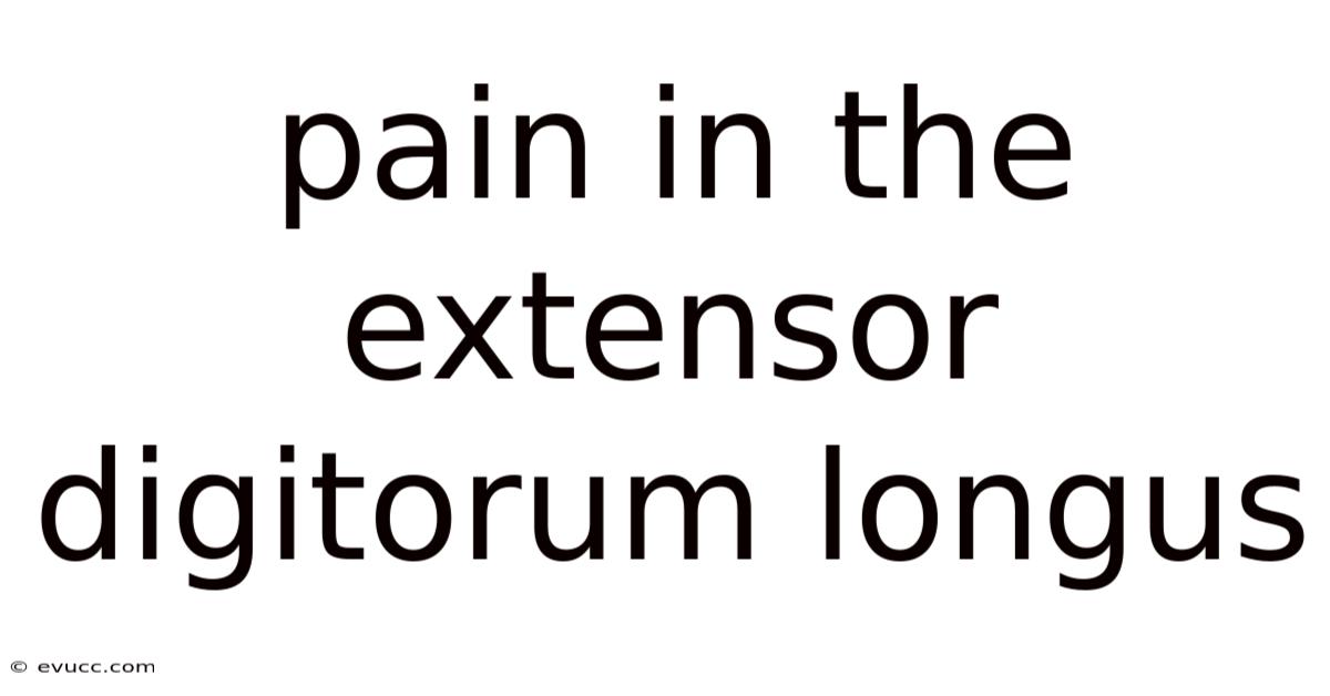 Pain In The Extensor Digitorum Longus