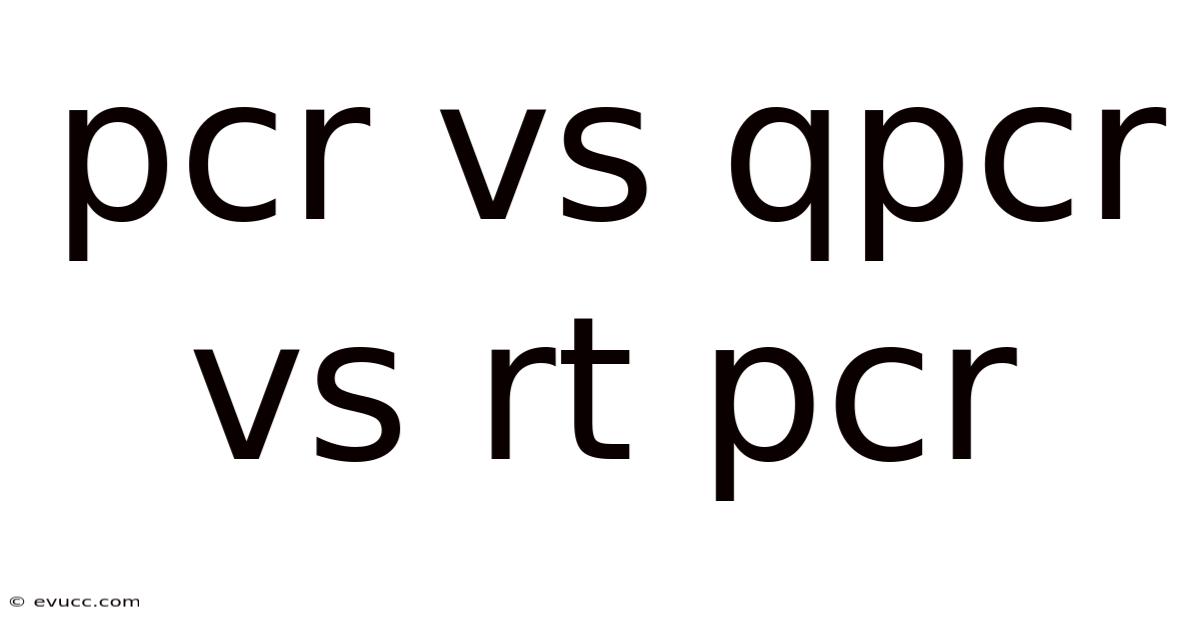Pcr Vs Qpcr Vs Rt Pcr