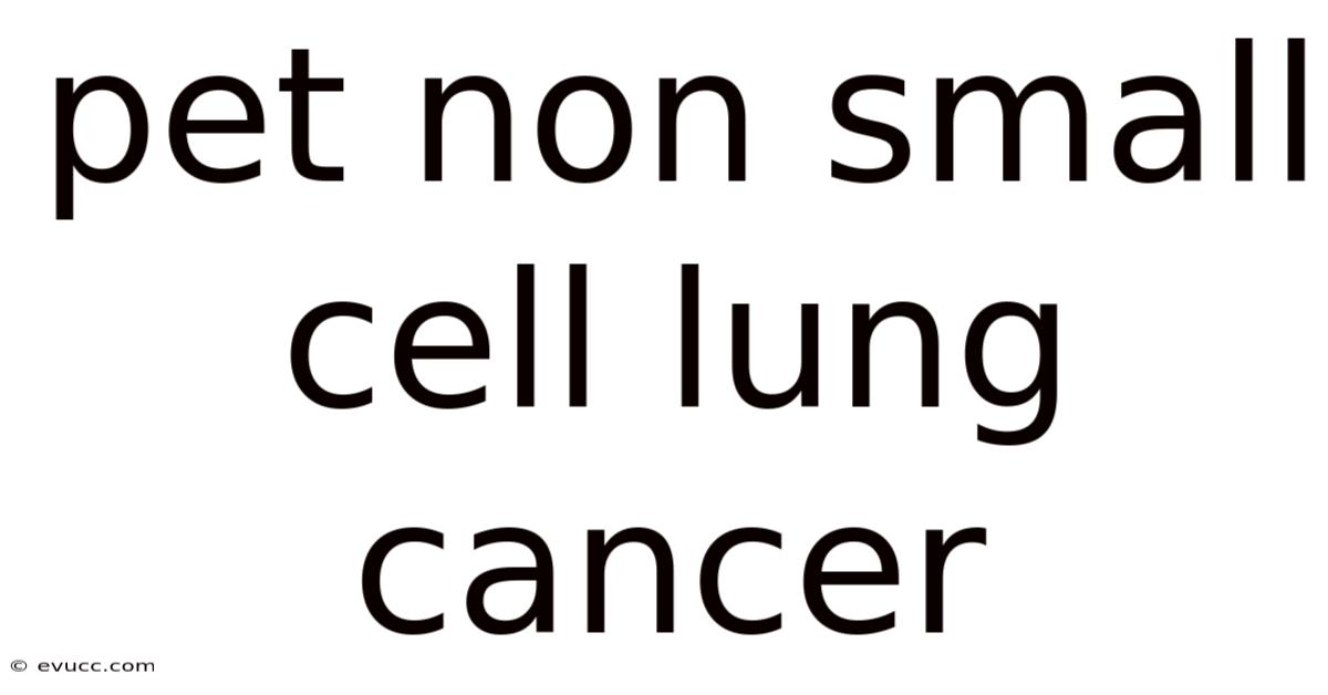 Pet Non Small Cell Lung Cancer