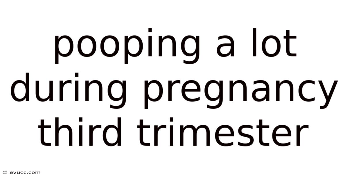 Pooping A Lot During Pregnancy Third Trimester