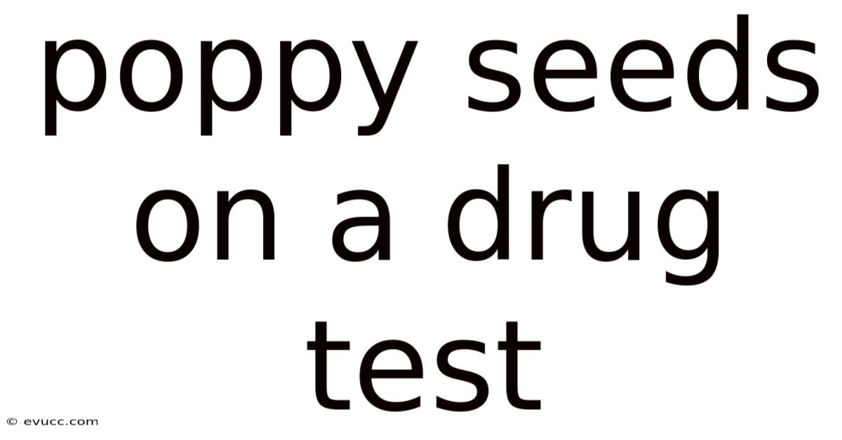 Poppy Seeds On A Drug Test