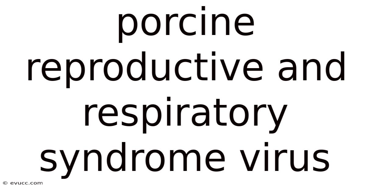 Porcine Reproductive And Respiratory Syndrome Virus