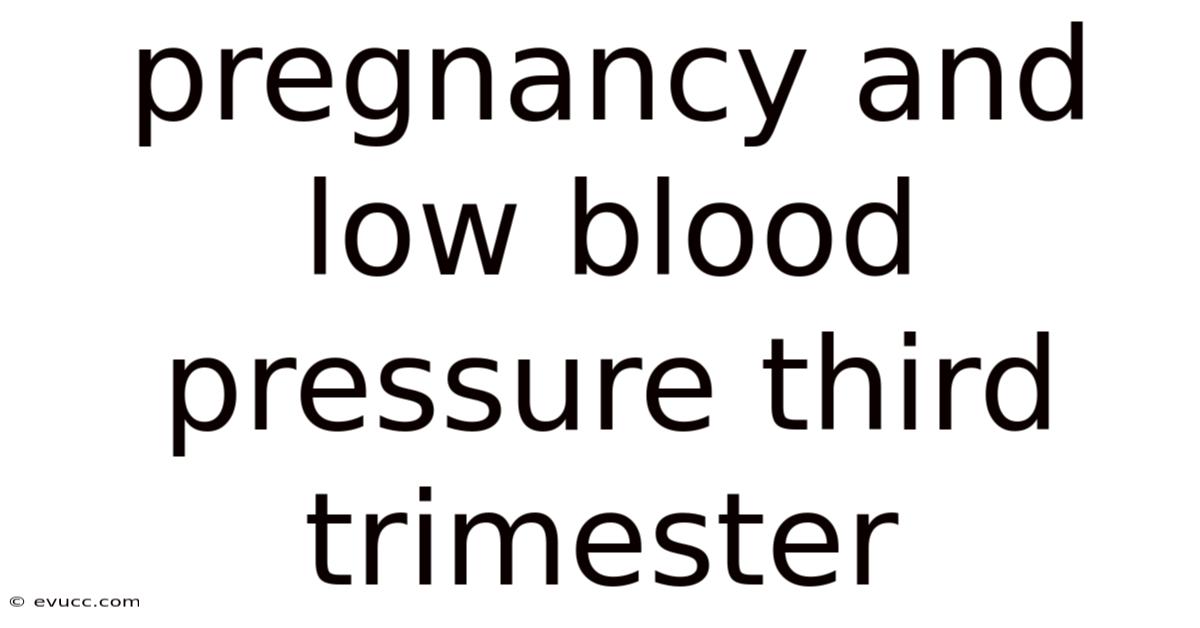 Pregnancy And Low Blood Pressure Third Trimester