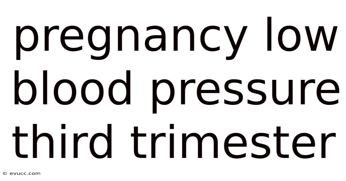 Pregnancy Low Blood Pressure Third Trimester