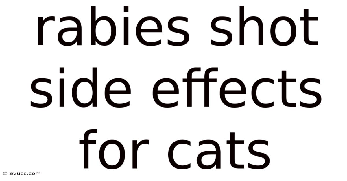 Rabies Shot Side Effects For Cats