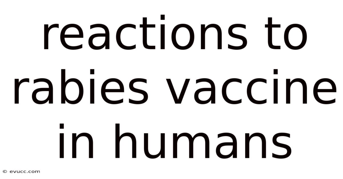 Reactions To Rabies Vaccine In Humans