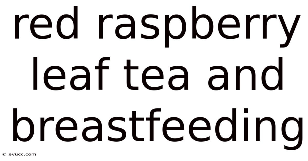 Red Raspberry Leaf Tea And Breastfeeding