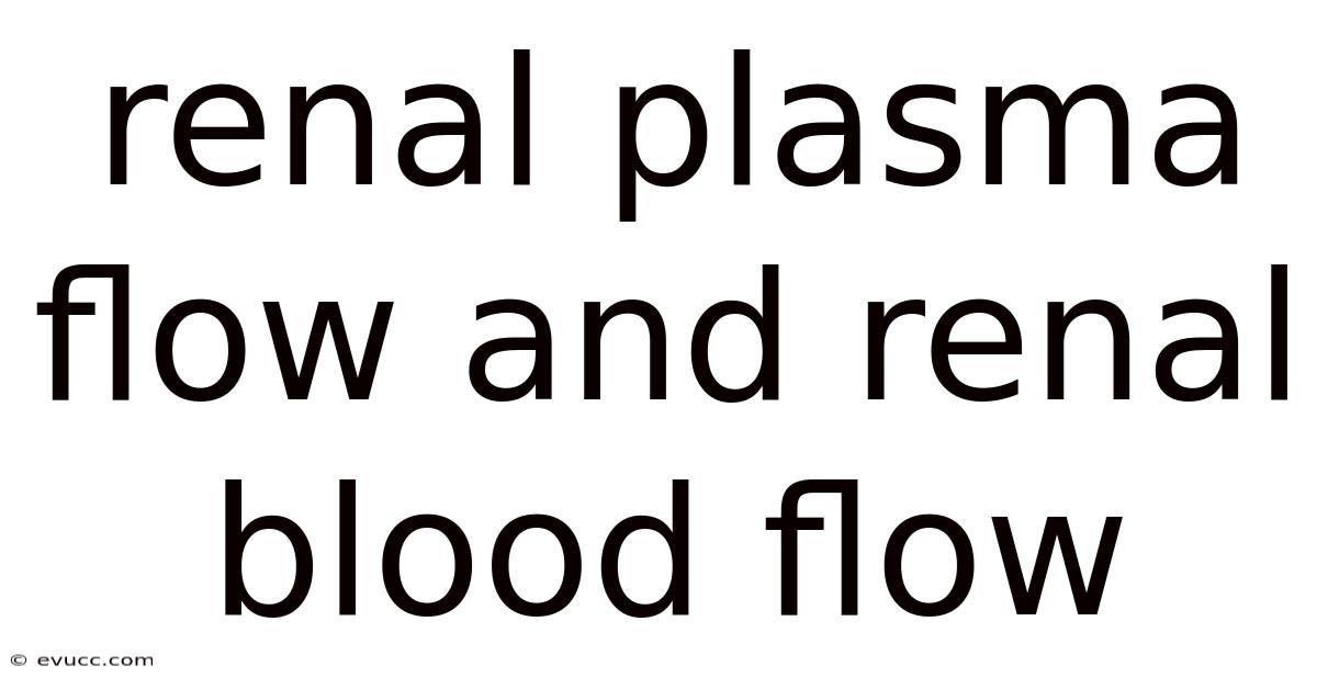 Renal Plasma Flow And Renal Blood Flow