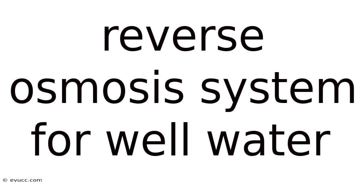 Reverse Osmosis System For Well Water