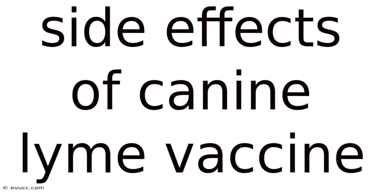 Side Effects Of Canine Lyme Vaccine