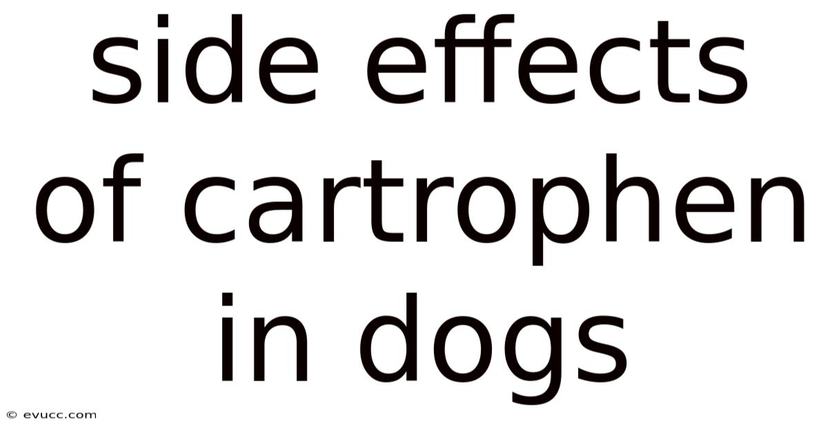 Side Effects Of Cartrophen In Dogs