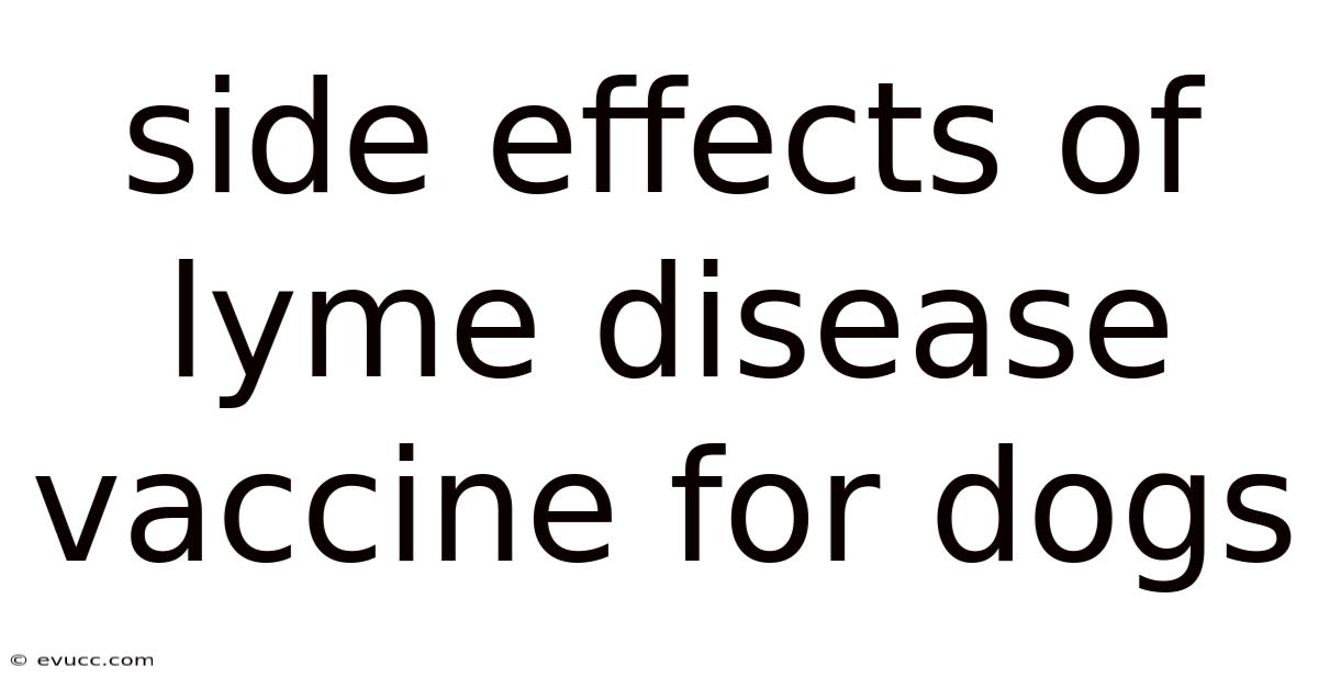 Side Effects Of Lyme Disease Vaccine For Dogs