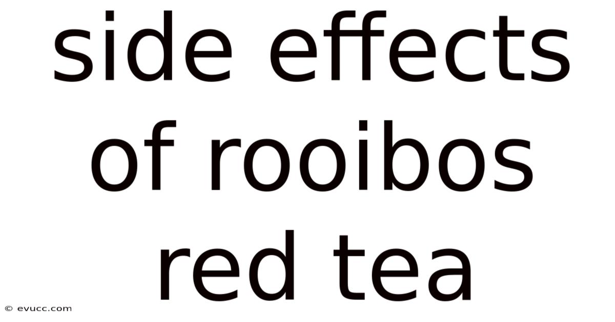 Side Effects Of Rooibos Red Tea