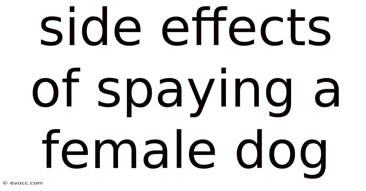 Side Effects Of Spaying A Female Dog
