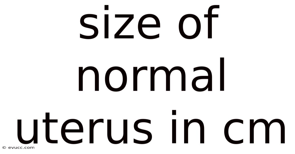 Size Of Normal Uterus In Cm
