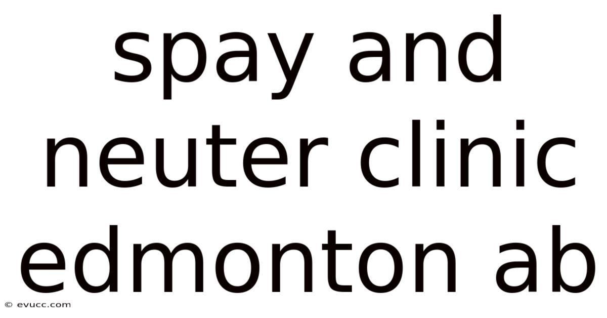 Spay And Neuter Clinic Edmonton Ab