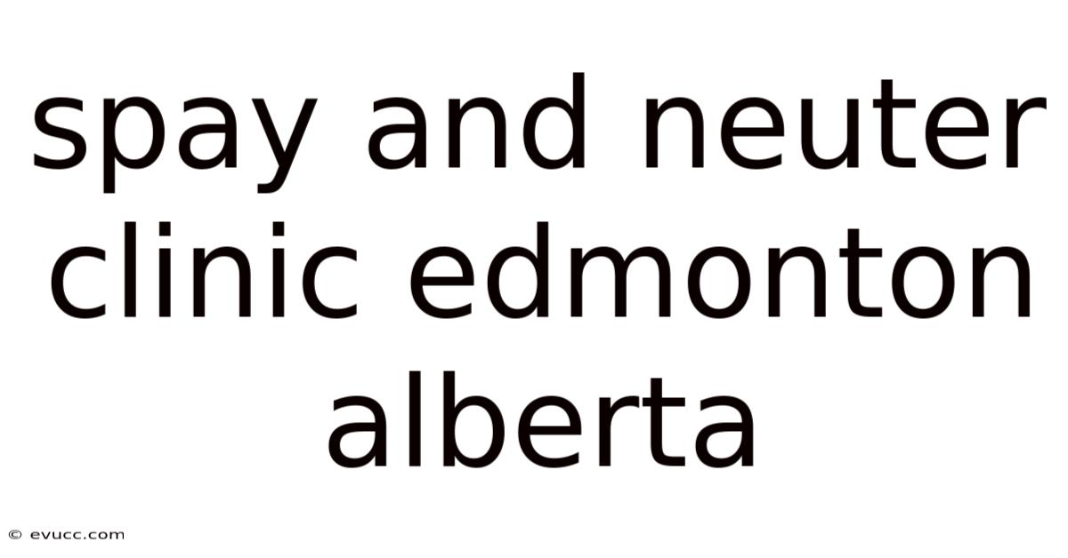 Spay And Neuter Clinic Edmonton Alberta