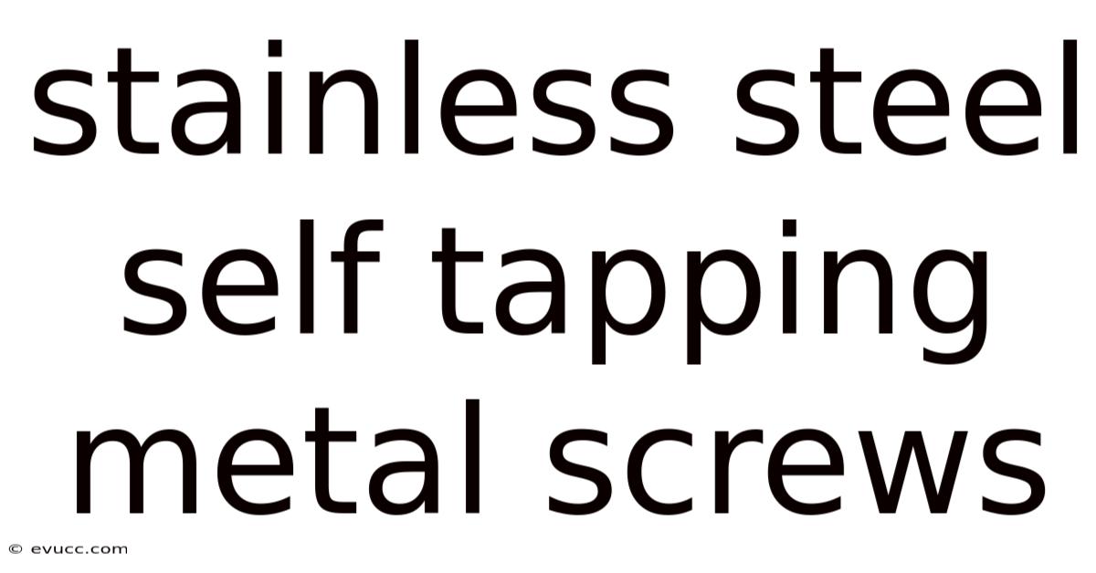 Stainless Steel Self Tapping Metal Screws