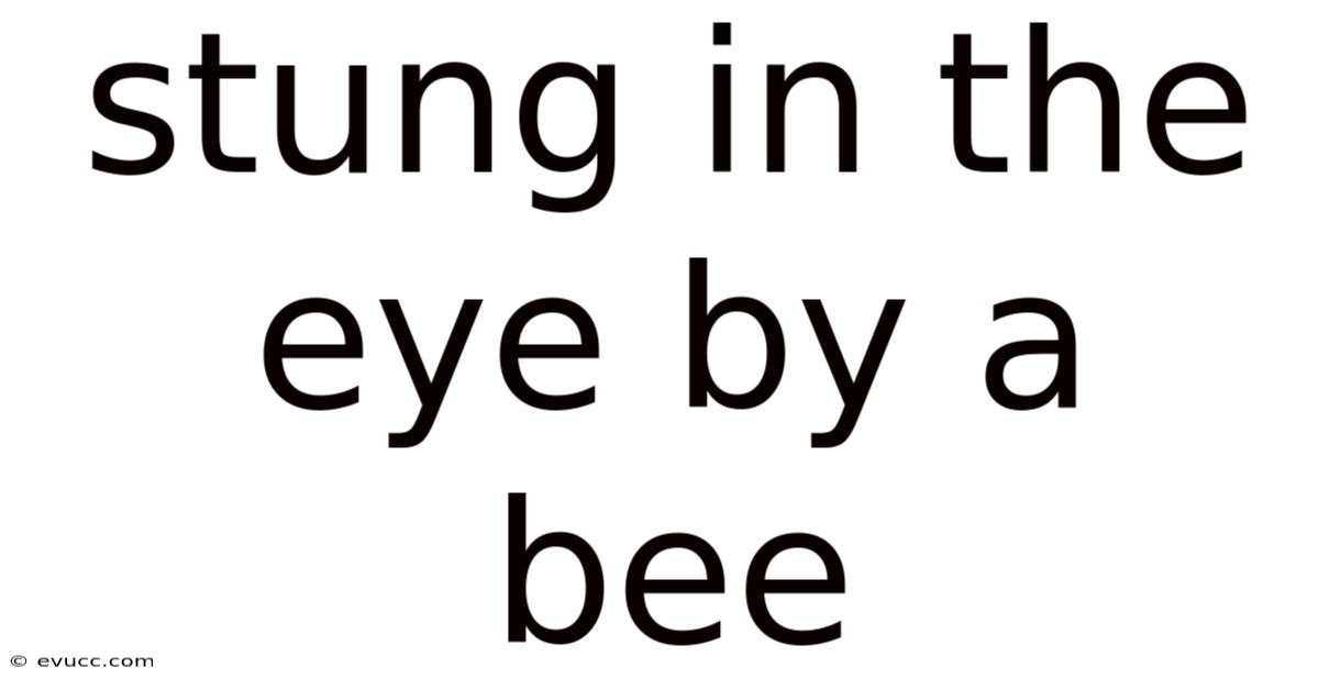 Stung In The Eye By A Bee