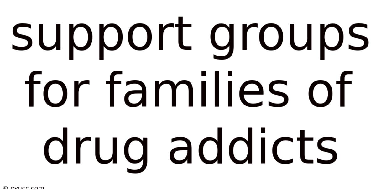 Support Groups For Families Of Drug Addicts