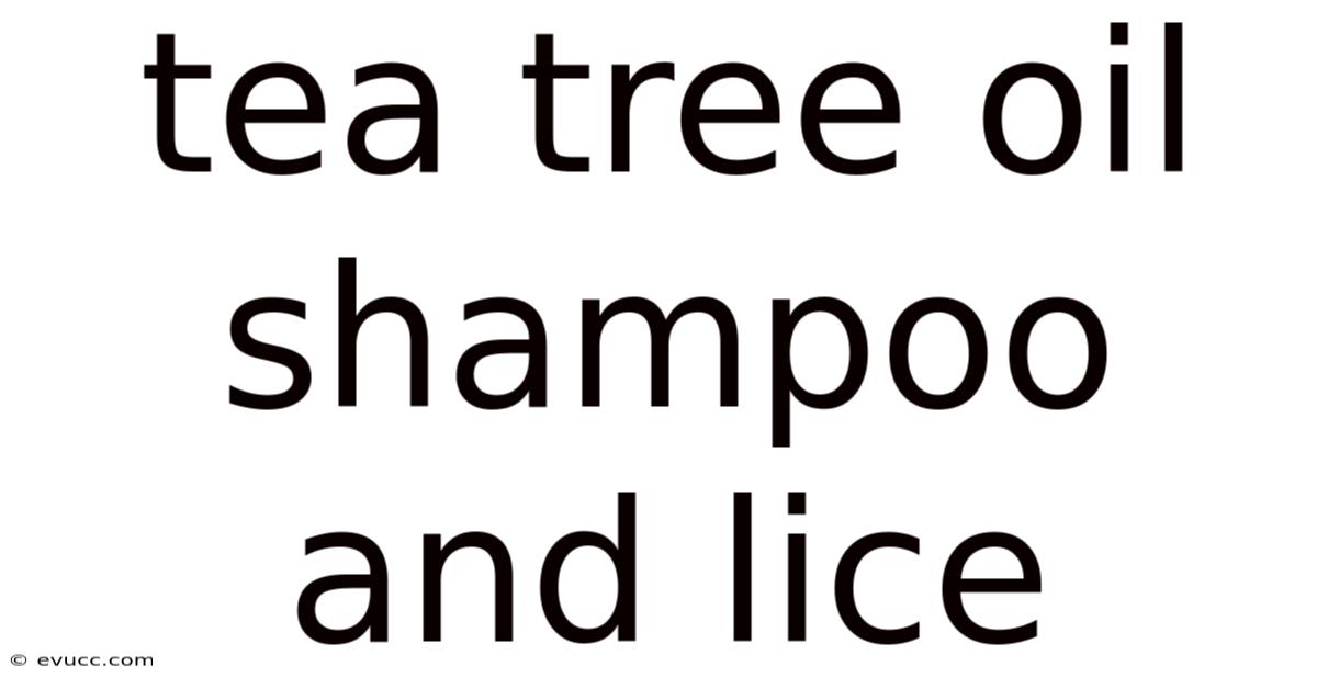Tea Tree Oil Shampoo And Lice