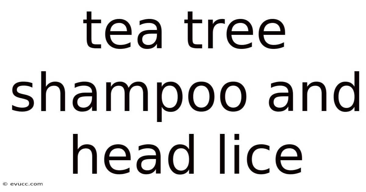 Tea Tree Shampoo And Head Lice