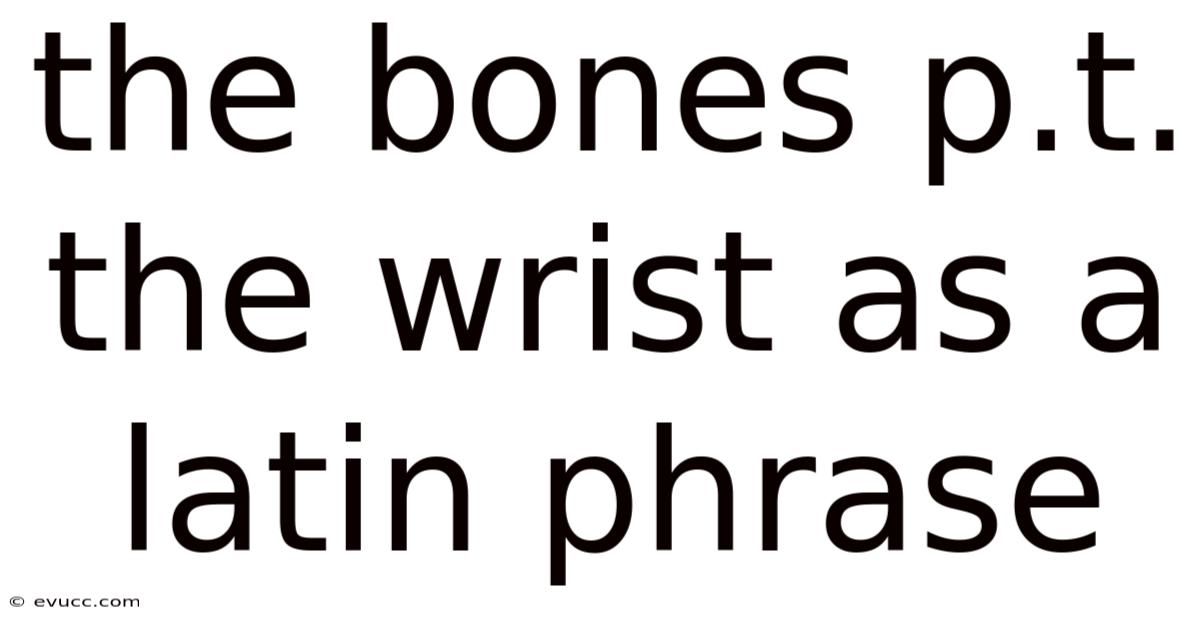 The Bones P.t. The Wrist As A Latin Phrase