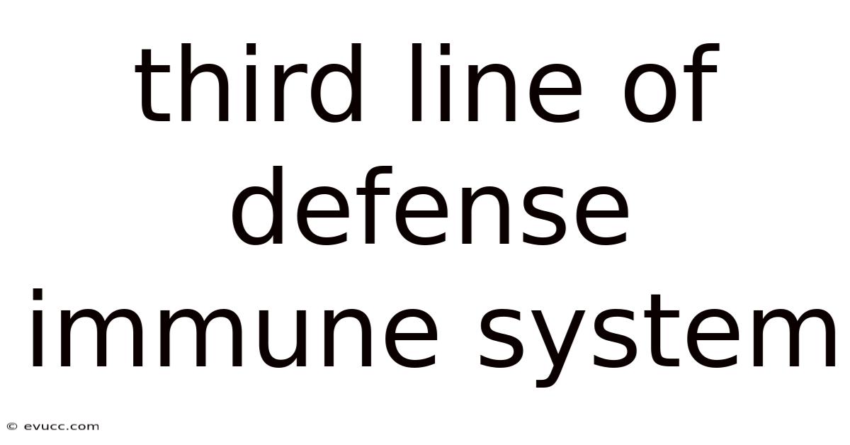 Third Line Of Defense Immune System