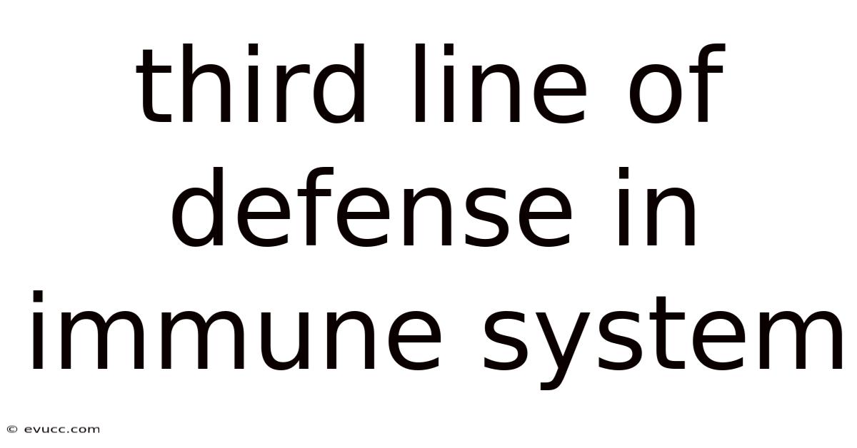 Third Line Of Defense In Immune System