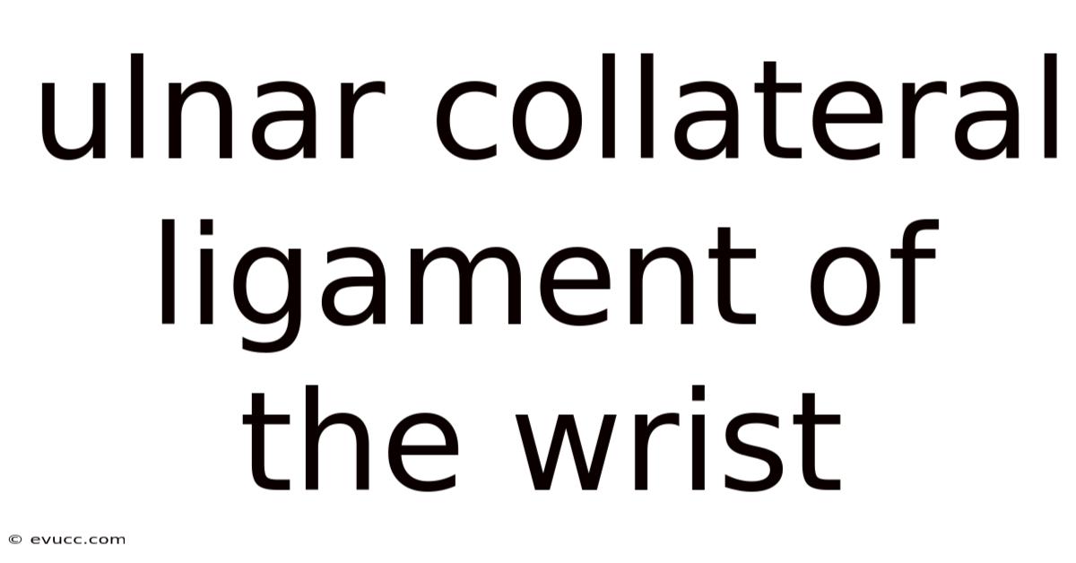 Ulnar Collateral Ligament Of The Wrist