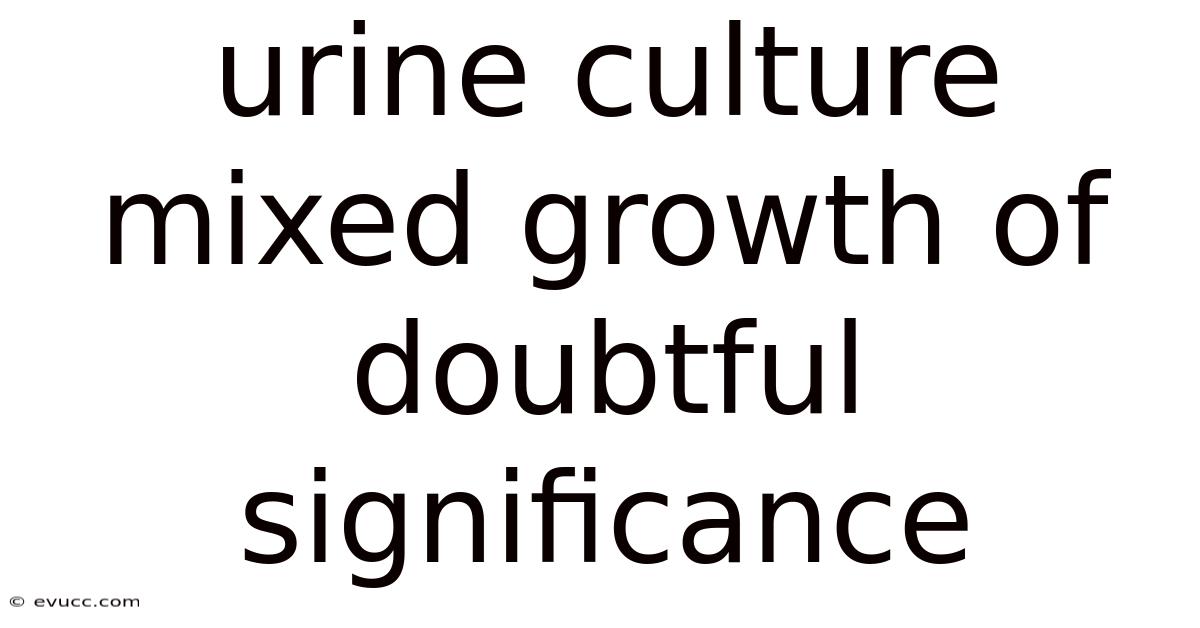 Urine Culture Mixed Growth Of Doubtful Significance