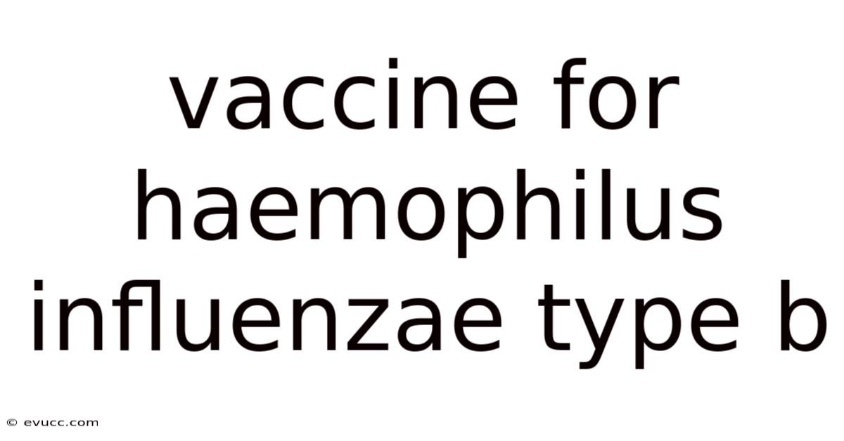 Vaccine For Haemophilus Influenzae Type B